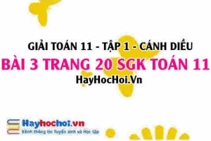 Giải bài 3 trang 20 Toán 11 tập 1 SGK Cánh Diều
